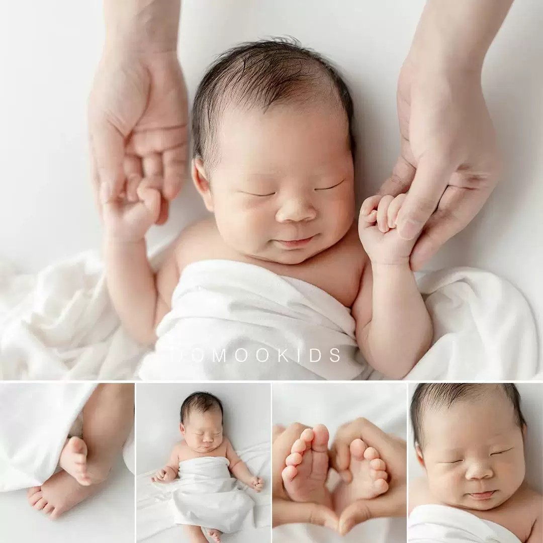Kain latar belakang penyerap c - Photography Lighting Color ulasan dan harga